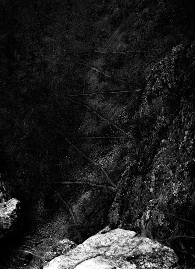 Frank Leder Autumn / Winter 2004 / 2005 Brot - Feld Women